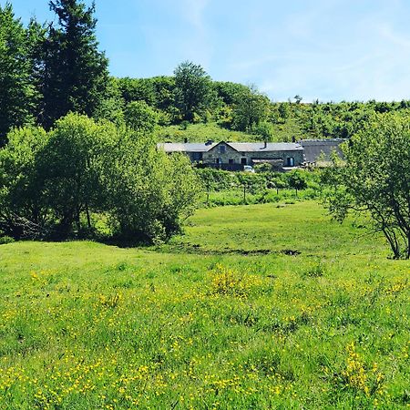 Ranch Du Haut-Languedoc La Salvetat-sur-Agout Buitenkant foto